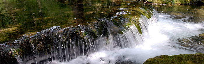 Cours d'eau