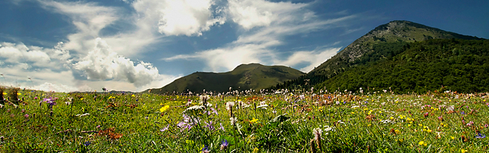 Prairie