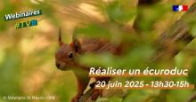 Visuel webinaire