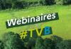 image webinaire tvb