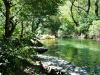 Ripisylve d'un ruisseau de la Vis dans le cirque de Navacelles (Occitanie) © Vincent Marty (OFB)