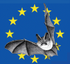 Logo de La Nuit Internationale de la Chauve-Souris