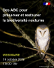 Affiche de communication pour le webinaire