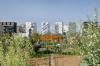 photographie paysage urbain